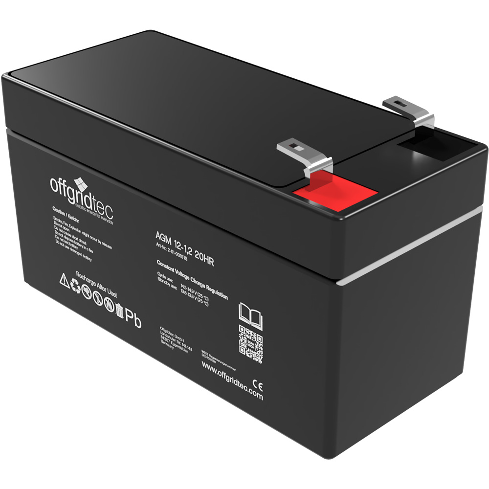 Pack Batterie Lithium Li-Ion 12V 30AH AGM = 9Ah Lithium - 1,9kg + Chargeur  de batterie 220V
